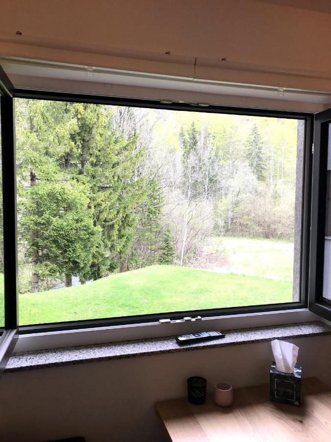 Apartment Loyd, Kranjska Gora - Studio מראה חיצוני תמונה