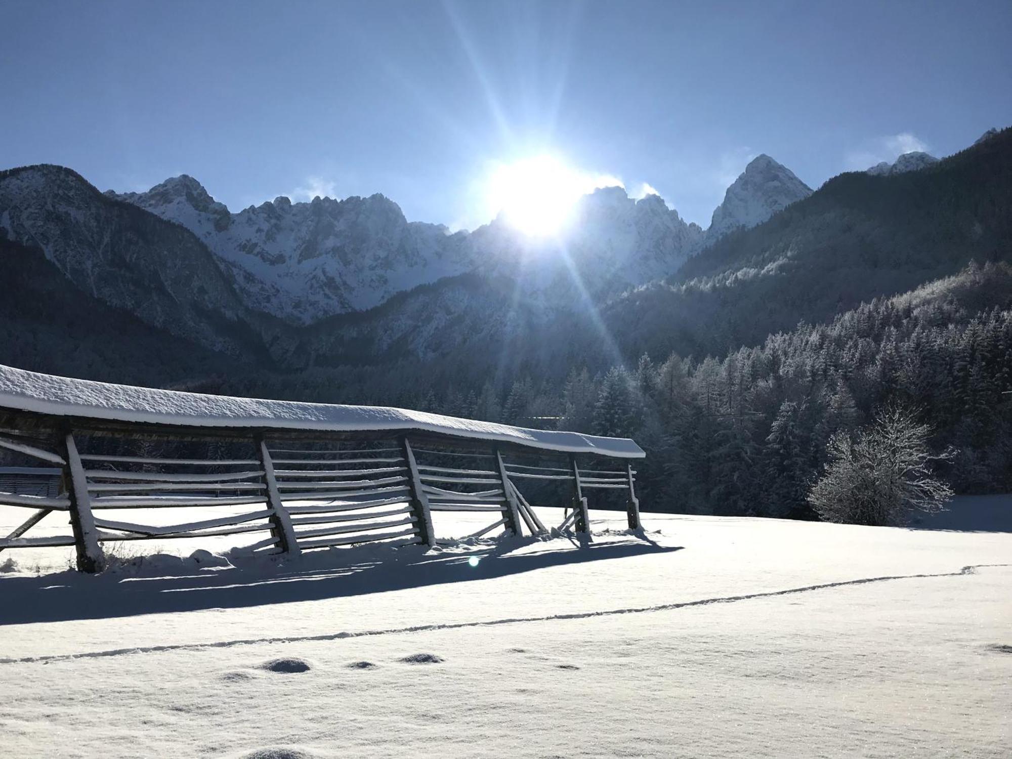 Apartment Loyd, Kranjska Gora - Studio מראה חיצוני תמונה